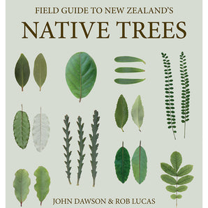 Potton & Burton Field Guide To New Zealand Native Trees